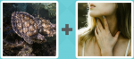 Pictoword level 464 - Turtle Tortoise Swim Neck Throat
