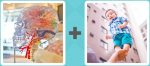 Pictoword level 467 - Brain Nerve System Kid Child