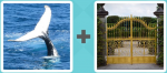 Pictoword level 469 - Whale Fin Tail Gate