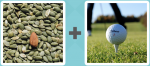 Pictoword level 483 - Nuts Seeds Golf Tee Ball Swing
