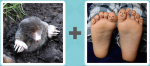 Pictoword level 492 - Mole Dig Hole Feet Toes Soles