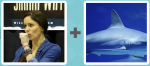 Pictoword level 499 - Cough Shark Fin