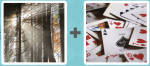 Pictoword level 502 - Tree Light Rays Wood Ace Cards Deck