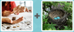 Pictoword level 505 - Coins Pennies Stack Nest Eggs