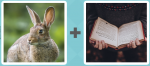 Pictoword level 523 - Hare Rabbit Read Book Pages