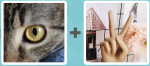 Pictoword level 524 - Cats Eye Peace Symbol Fingers