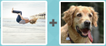 Pictoword level 525 - Somersault Flip Dog Tongue Pant