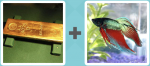 Pictoword level 53 - Gold Bar Fish Tank