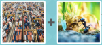 Pictoword level 532 - Dockyard Ships Containers Import Export Ant Worker Drone Bug