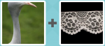 Pictoword level 54 - Bird Turkey Neck Lace Doily