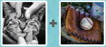 Pictoword level 545 - Kitty Cat Kitten Purr Strokes Pet Baseball Mitt Glove