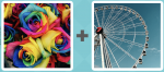 Pictoword level 546 - Flowers Roses Rainbows Colours Colors Ferris Wheel Fairground Ride Big Cars Show