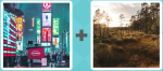 Pictoword level 566 - Billboards City Lights Neon Swamp Bog Fields Grass