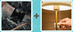 Pictoword level 567 - Hanging Bat Lampshade Switch Cord Hand