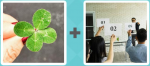 Pictoword level 569 - Four Leaf Clover Lucky Auction Bidders Numbers Cards