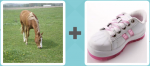 Pictoword level 6 - Horse Grass Eat Sneaker Shoe