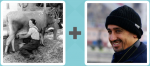 Pictoword level 91 - Cow Milk Man Beanie