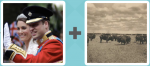 Pictoword level 93 - Prince Harry Buffalo Bison