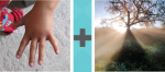 Pictoword Animals level 19 - Hand Star Sun Beams Rays