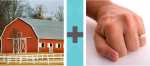 Pictoword Animals level 22 - Haybarn Hand Fist Knuckles