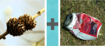 Pictoword Animals level 25 - Pinecones Pair Two Tin Can