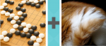 Pictoword Animals level 31 - Othello Go Fur Tail