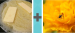 Pictoword Animals level 4 - Butter Sticks Fat Melt Fly Flower