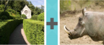 Pictoword Animals level 9 - Hedge Path Horn Hog Boar