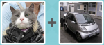 Pictoword Brands level 17 - Pet Cat Smart Car Small