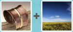 Pictoword Celebrities level 9 - Copper Metal Alloy Field Grass Sky