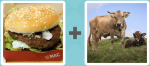 Pictoword Countries & Cities level 10 - Burger Mac Meat Bun Cows