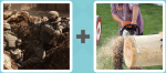 Pictoword Countries & Cities level 11 - War Army Battle Fight Saw Timber