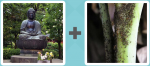 Pictoword Countries & Cities level 23 - Buddha Meditate Monk Ants Bugs Pests
