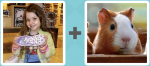 Pictoword Countries & Cities level 27 - Shoe Sneaker Kid Hamster Guinea Pig