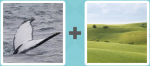 Pictoword Countries & Cities level 9 - Whale Tail Fin Green Hills Land Field