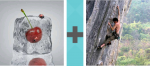 Pictoword Games level 25 - Icecube Ice Cherry Climb Tree
