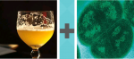 Pictoword Games level 30 - Glass Half Full Cell Amoeba