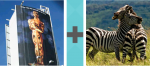 Pictoword Historical Figures level 23 - Oscars Trophy Zebras