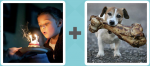 Pictoword Holidays level 16 - Candle Blow Wish Cake Dog Bone