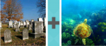 Pictoword Landmarks level 17 - Death Graves Turtle Ocean Swim