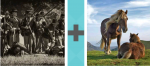 Pictoword Movies level 15 - War Battle Soldiers Horses