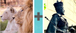 Pictoword Movies level 2 - Lions Pride King Emperor Boss