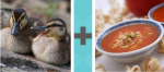 Pictoword Movies level 8 - Ducks Stew Soup Broth