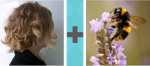 Pictoword US Politics level 10 - Hair Woman Bee Wasp Pollen